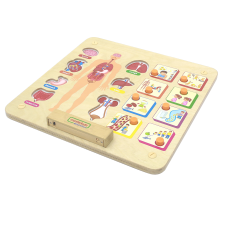 Material Didactico-Masterkidz