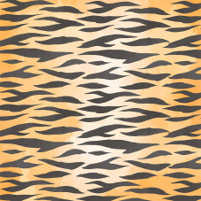 Material Didactico-Creative