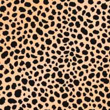 Material Didactico-Creative