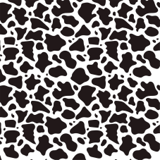 Material Didactico-Creative