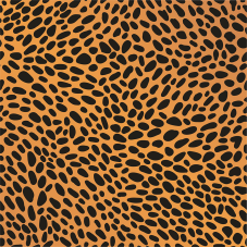 Material Didactico-Creative