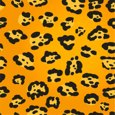 Material Didactico-Creative