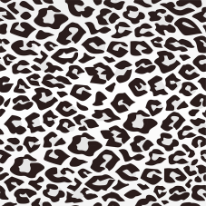 Material Didactico-Creative