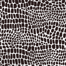 Material Didactico-Creative