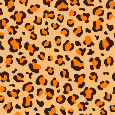 Material Didactico-Creative