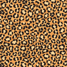 Material Didactico-Creative