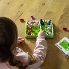 Material Didactico-Smart Games