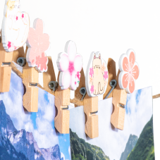 Material Didactico-