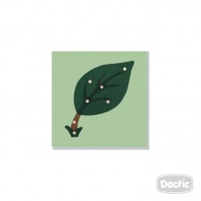 Material Didactico-Dactic